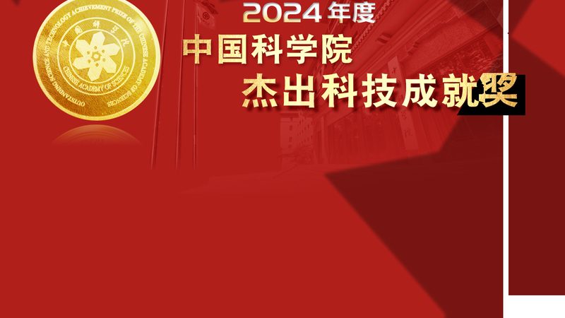 上海智慧解决方案品牌：引领城市智能化转型的力量**